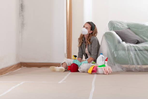 Reliable Mold Remediation contractor in Trappe, PA by WQB Mold Removal